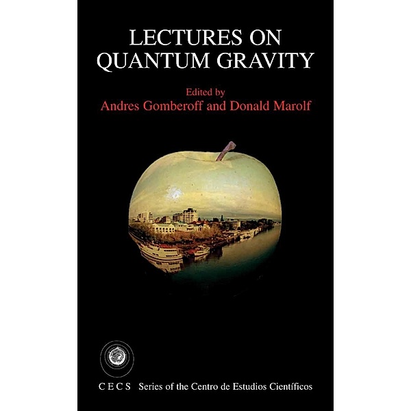 Lectures on Quantum Gravity / Series of the Centro De Estudios Científicos