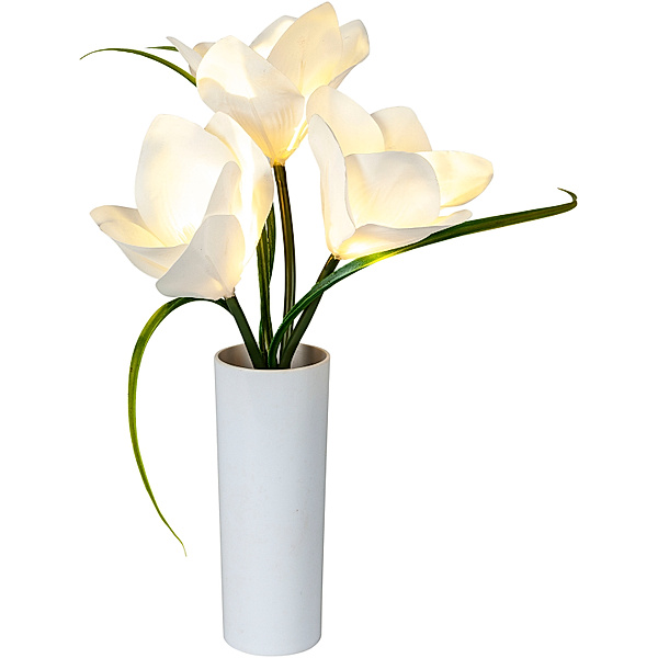 LED-Blumen Magnolia in Vase, (Farbe: Weiß)