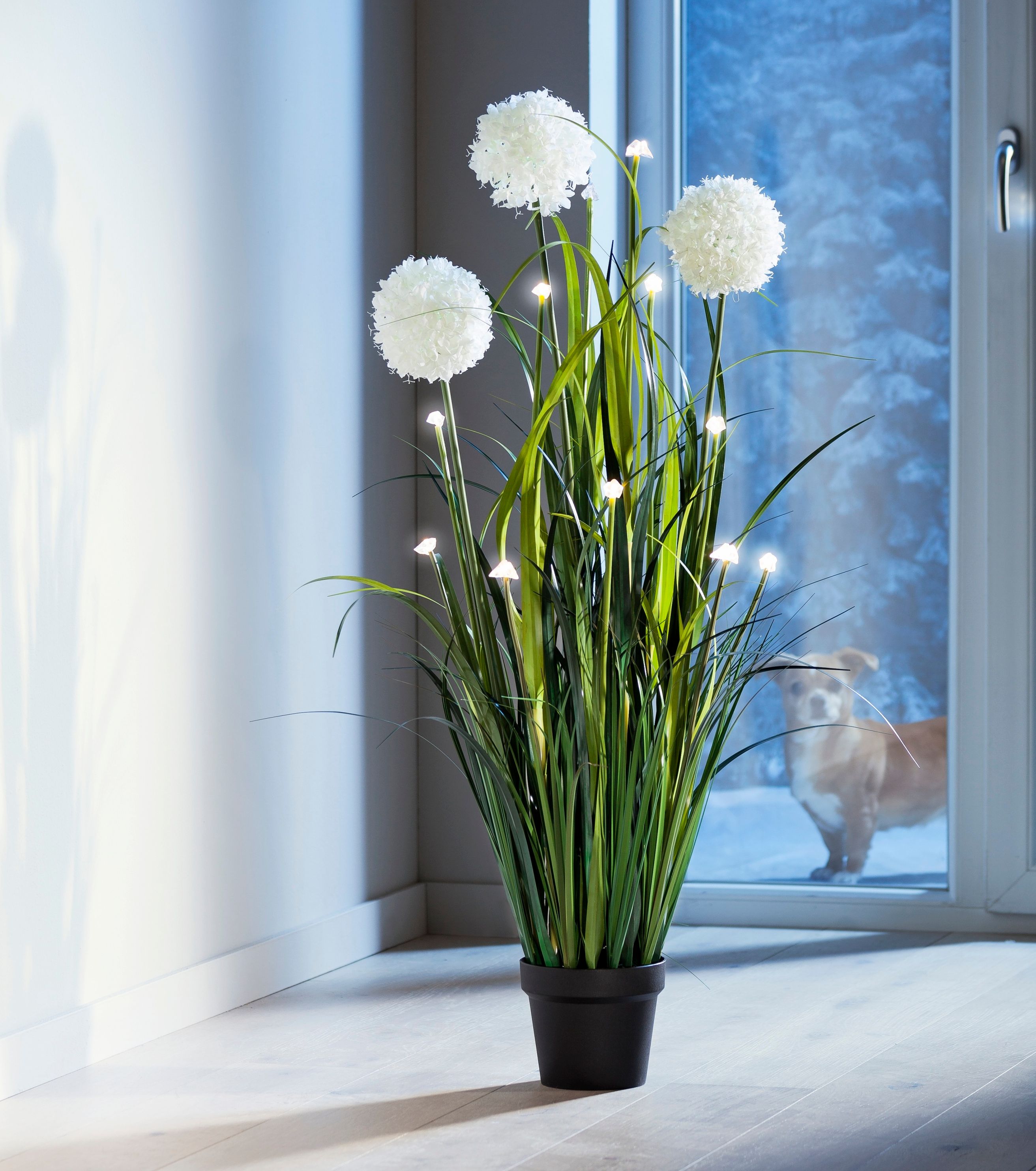LED-Blumendeko Allium jetzt bei Weltbild.de bestellen