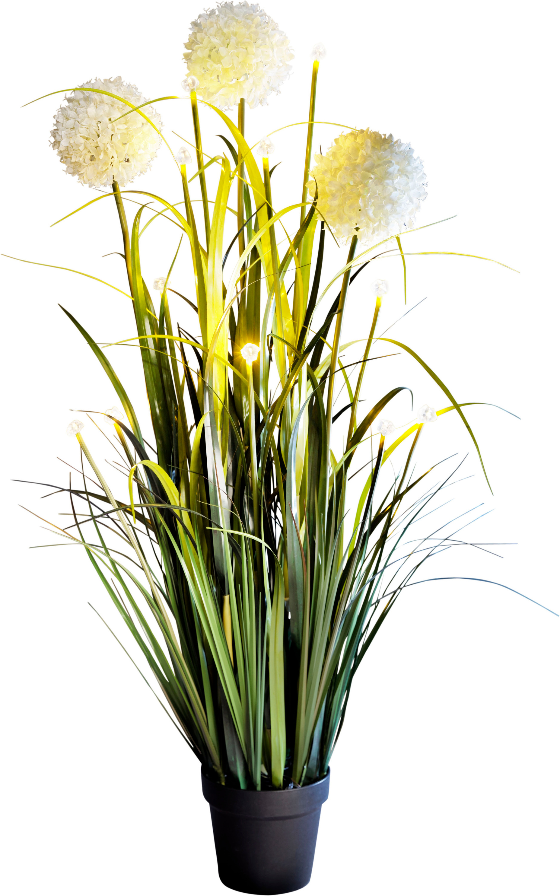 bei Allium jetzt LED-Blumendeko Weltbild.de bestellen