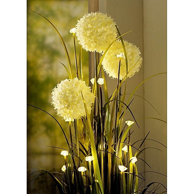 LED-Blumendeko Allium jetzt bei Weltbild.de bestellen