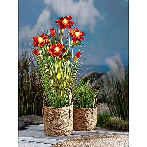 LED-Blumendeko Blossom 80 cm
