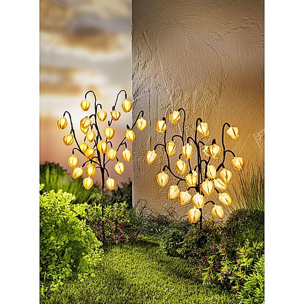 LED-Gartenstecker Physalis 2er-Set, 48 LEDs