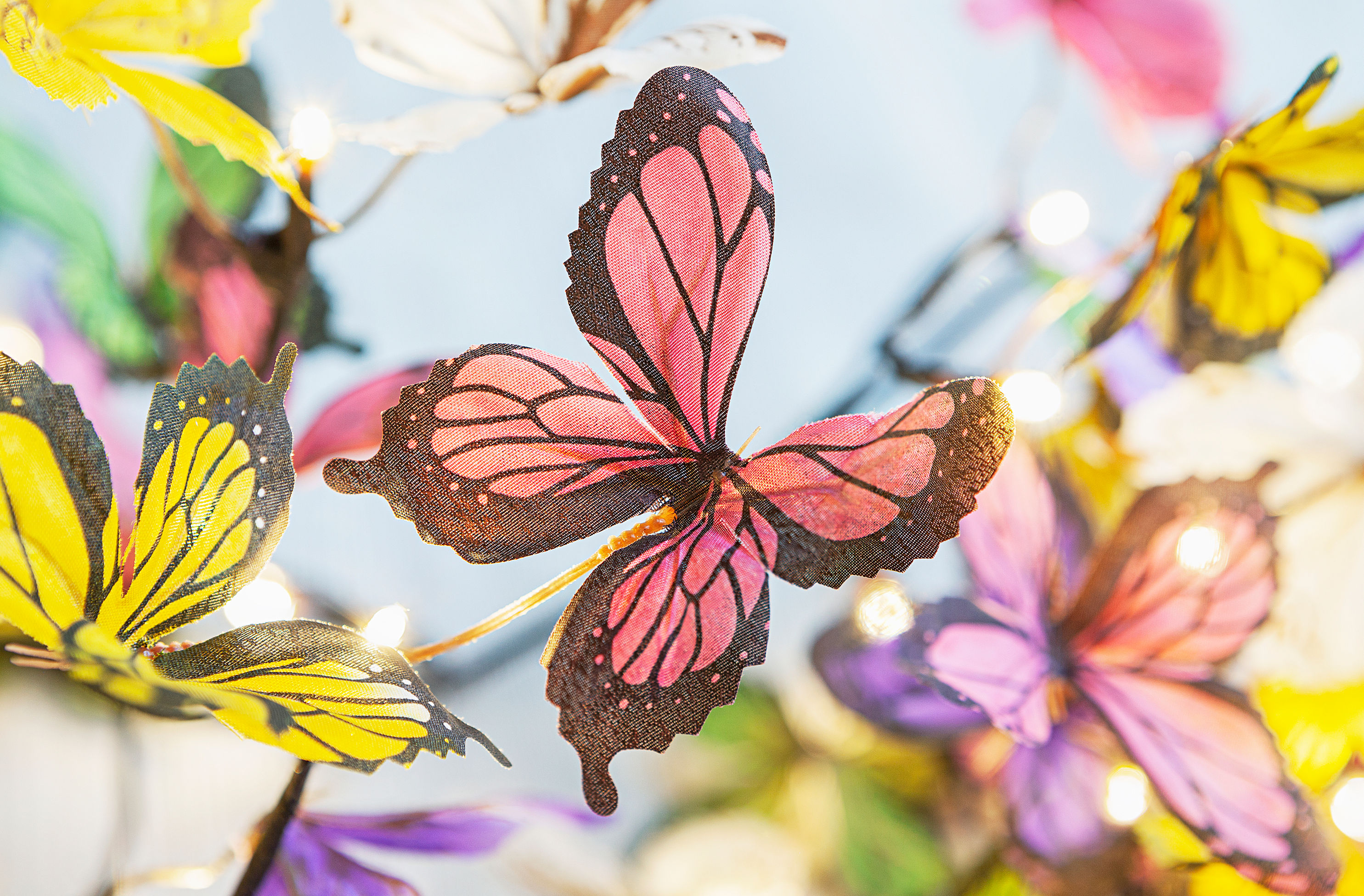 LED-Lichterkette Schmetterlingszauber bestellen | Weltbild.de