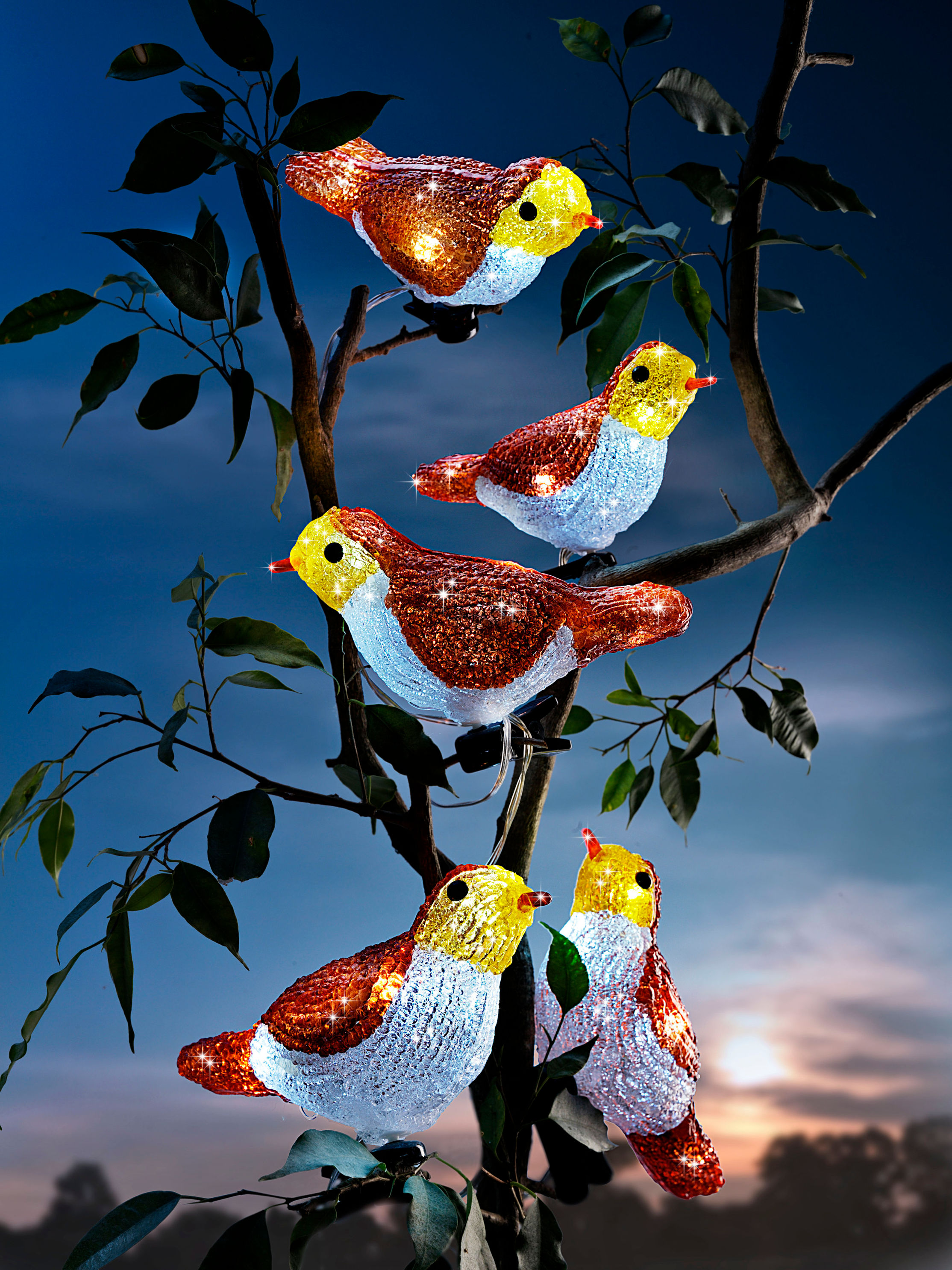 LED-Lichterkette Vögel jetzt bei Weltbild.ch bestellen