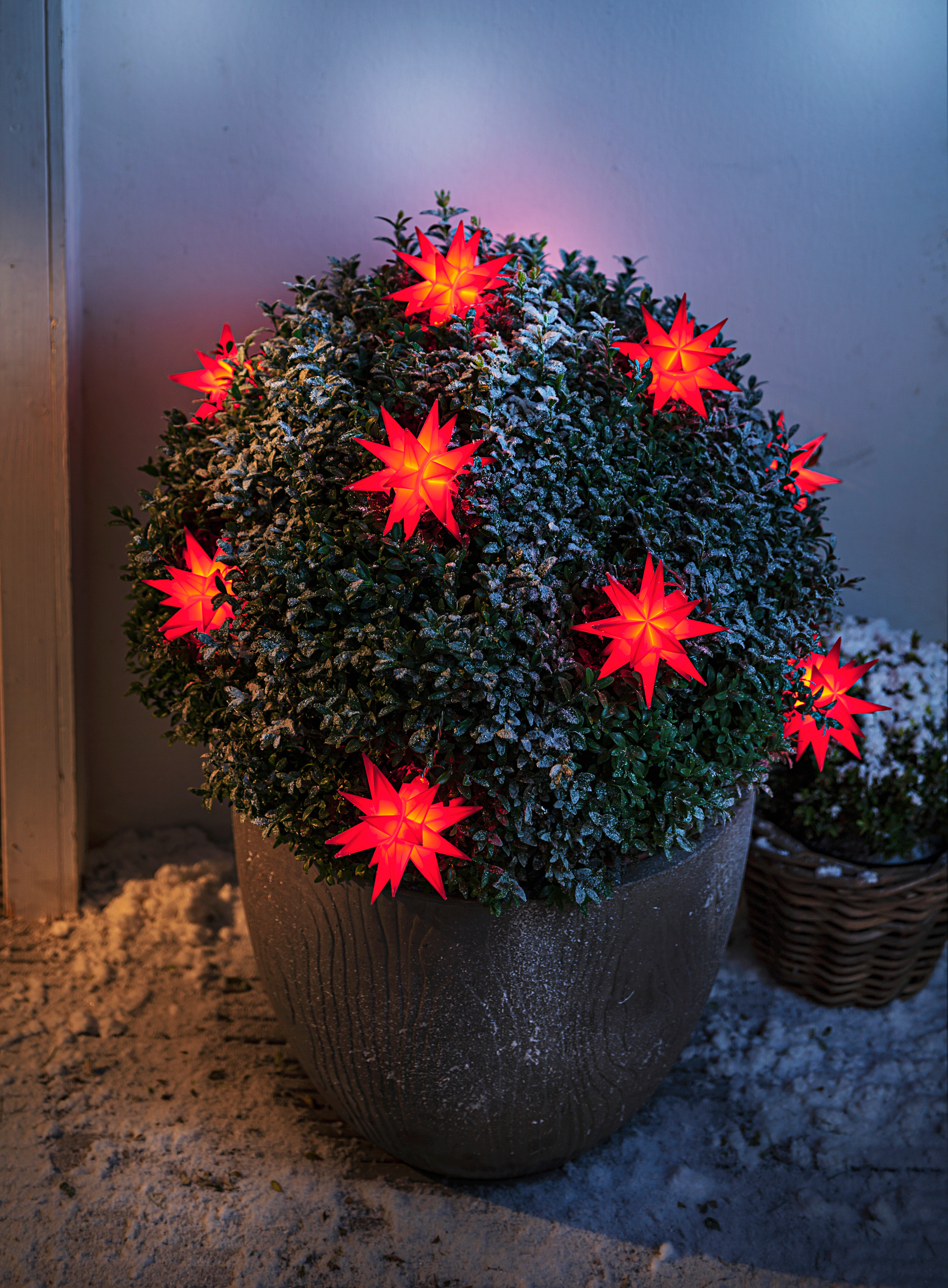 LED-Lichterkette Weihnachtsstern Farbe: rot