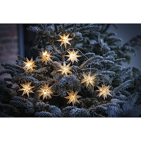LED-Lichterkette Weihnachtsstern (Farbe: Silber)
