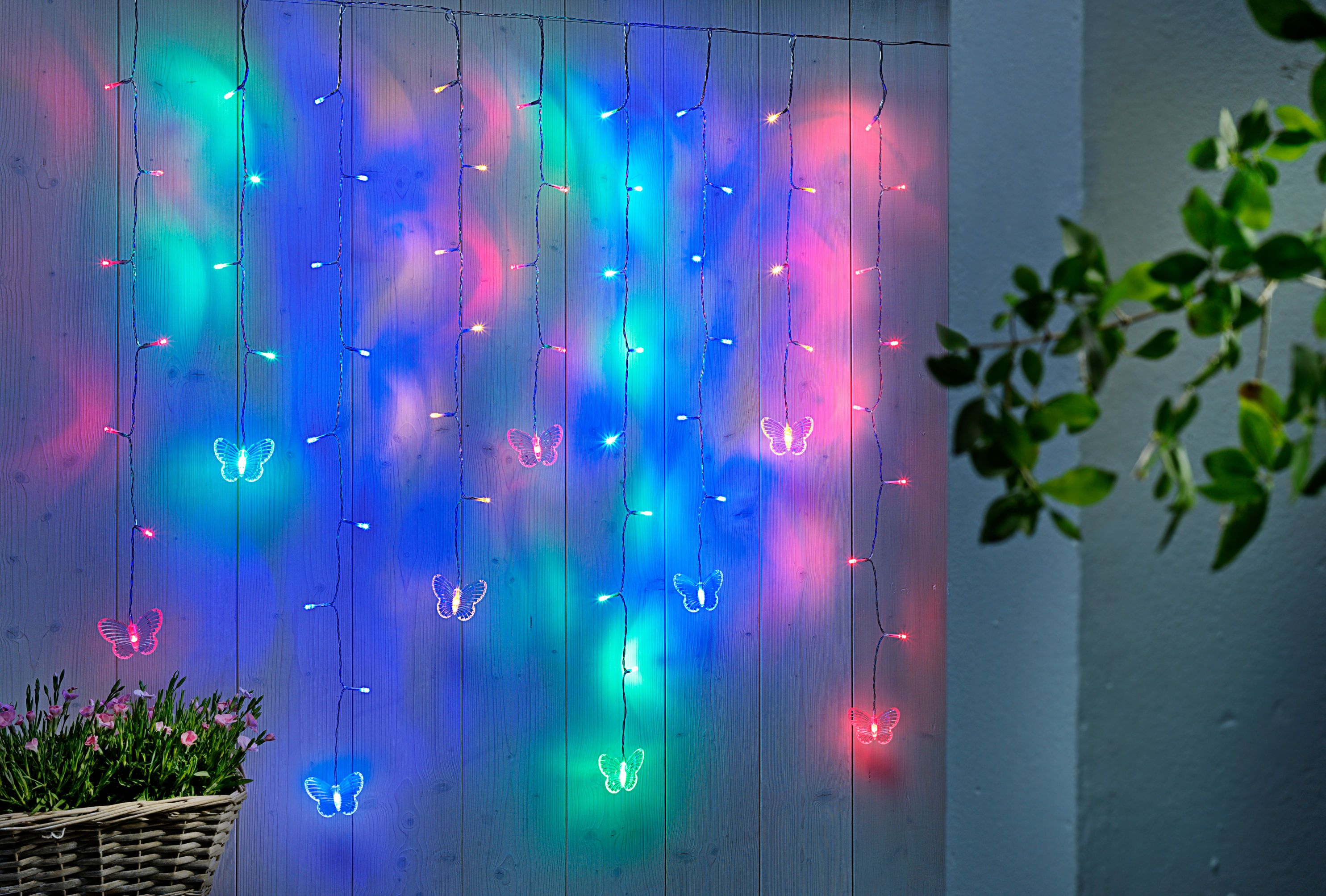 LED-Lichtervorhang Schmetterling 80 cm bestellen | Weltbild.de