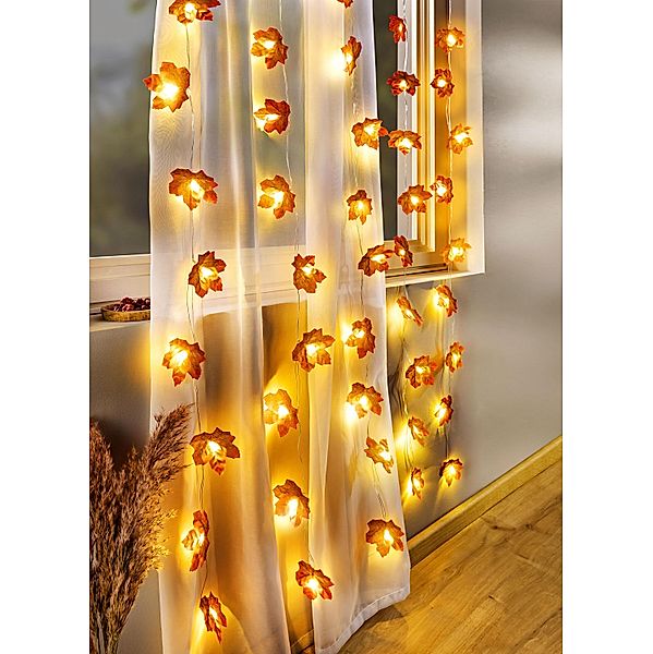 LED-Vorhang Ahornblätter 80 x 125cm