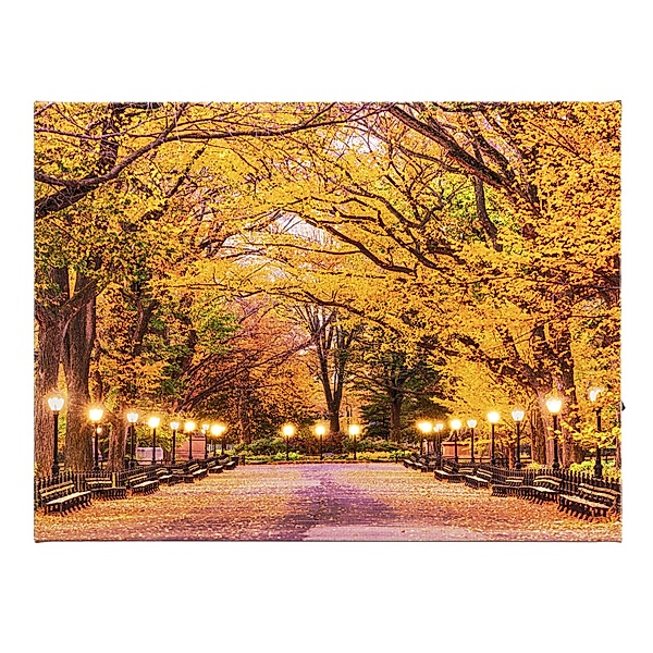 LED-Wandbild Herbstweg 40 x 30 cm