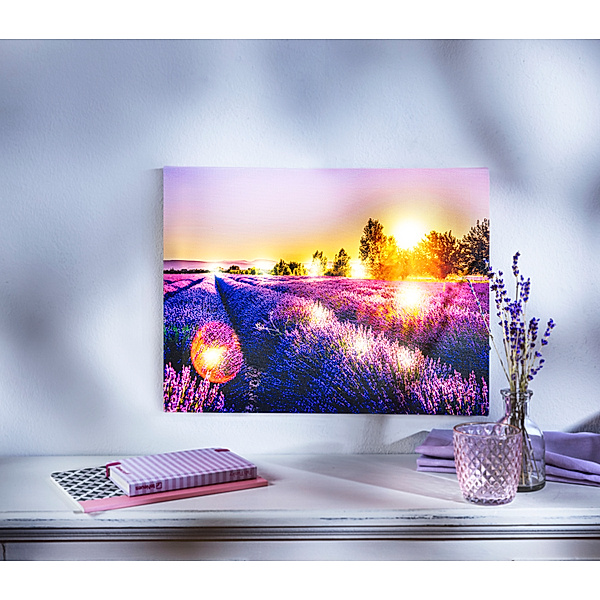 LED-Wandbild Lavendelfeld 40 x 30 cm