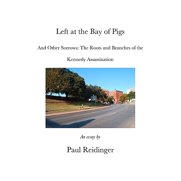 Left at the Bay of Pigs and Other Sorrows: The Roots and Branches of the Kennedy Assassination, Paul Reidinger