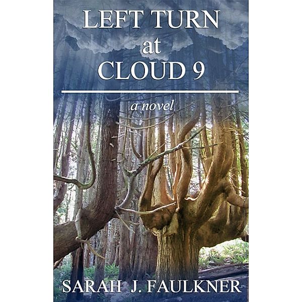 Left Turn at Cloud 9, Sarah J Faulkner