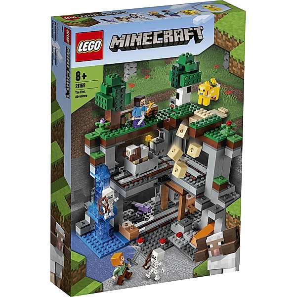 LEGO® LEGO® 21169 Minecraft™ Das erste Abenteuer