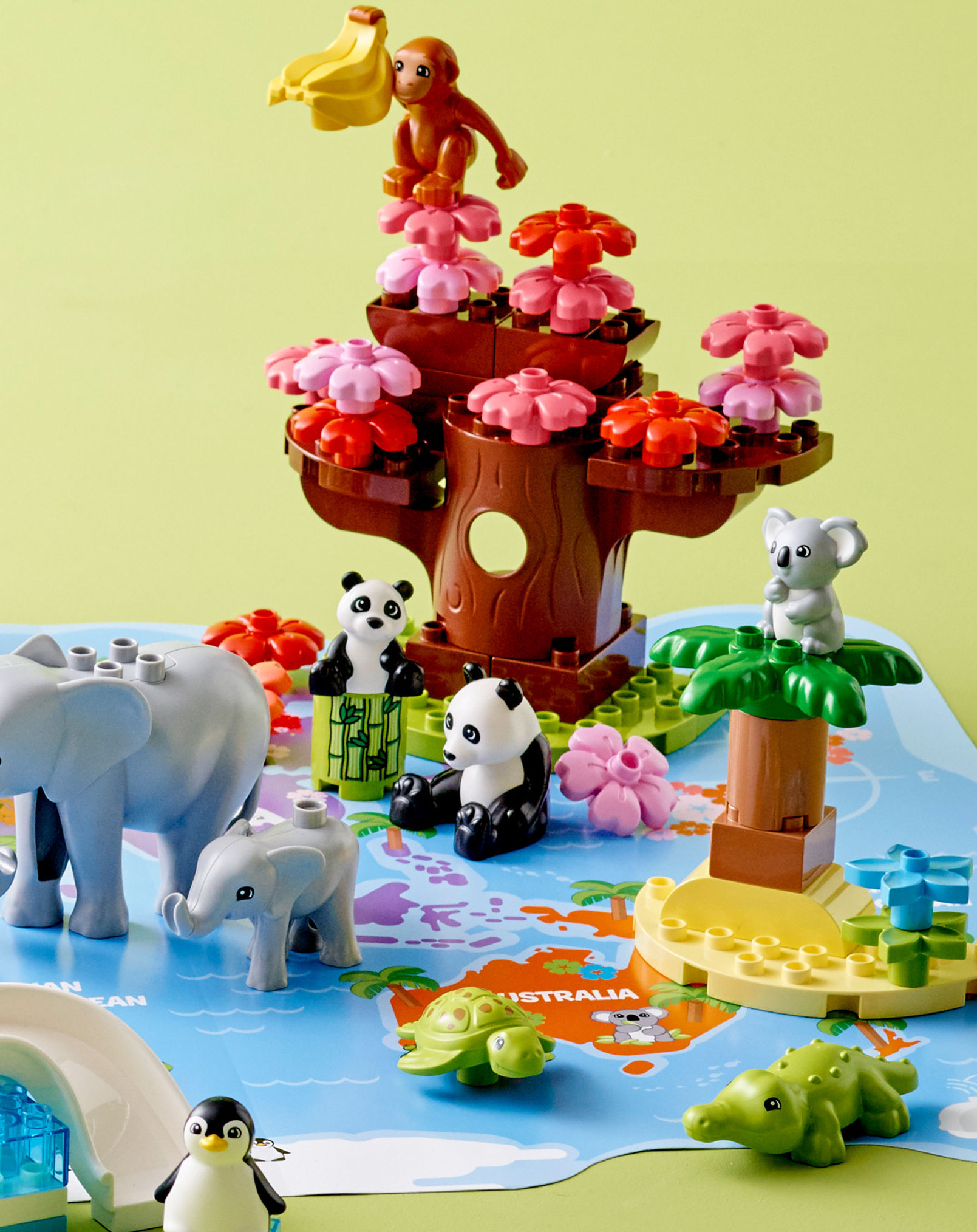 LEGO® DUPLO 10975 Wilde Tiere der Welt kaufen | tausendkind.de