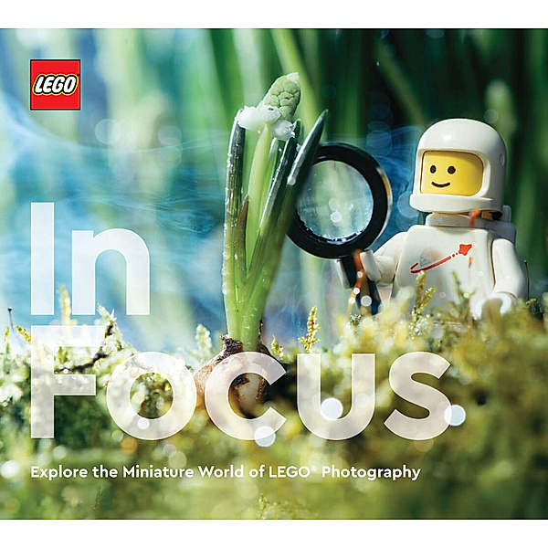 LEGO In Focus, Lego