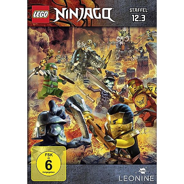 Lego Ninjago - Staffel 12.3, Diverse Interpreten
