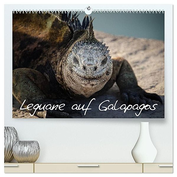 Leguane auf Galapagos (hochwertiger Premium Wandkalender 2024 DIN A2 quer), Kunstdruck in Hochglanz, Ralph Binder