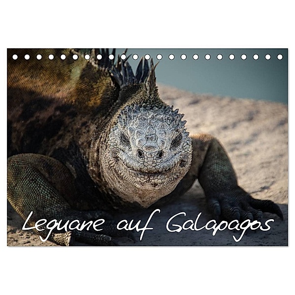 Leguane auf Galapagos (Tischkalender 2024 DIN A5 quer), CALVENDO Monatskalender, Ralph Binder