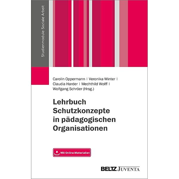 Lehrbuch Schutzkonzepte in pädagogischen Organisationen / Studienmodule Soziale Arbeit