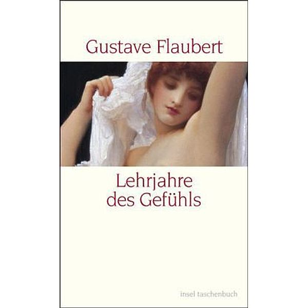Lehrjahre des Gefühls, Gustave Flaubert