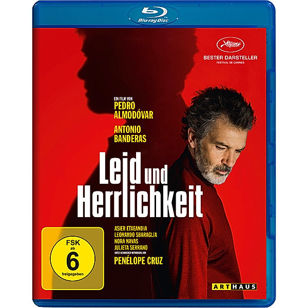 Leid und Herrlichkeit, Pedro Almodóvar