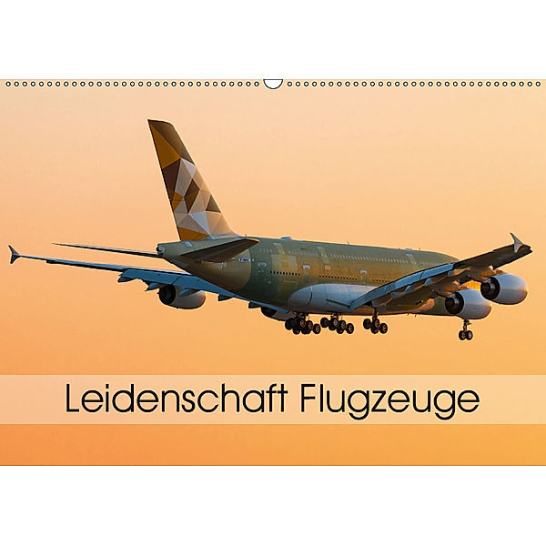 Leidenschaft Flugzeuge (Wandkalender 2019 DIN A2 quer), Tom Estorf