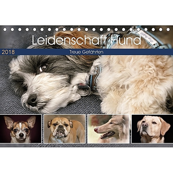 Leidenschaft Hund (Tischkalender 2018 DIN A5 quer) Dieser erfolgreiche Kalender wurde dieses Jahr mit gleichen Bildern u, Doris Metternich