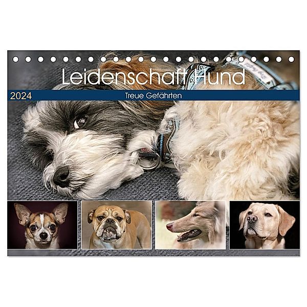 Leidenschaft Hund (Tischkalender 2024 DIN A5 quer), CALVENDO Monatskalender, Doris Metternich