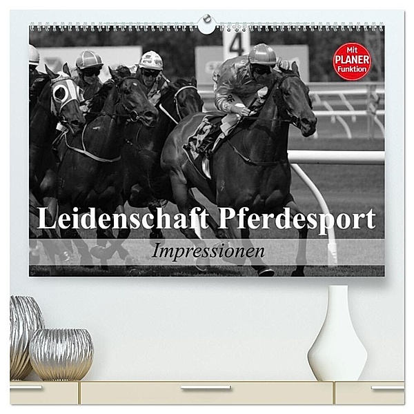 Leidenschaft Pferdesport - Impressionen (hochwertiger Premium Wandkalender 2024 DIN A2 quer), Kunstdruck in Hochglanz, Elisabeth Stanzer