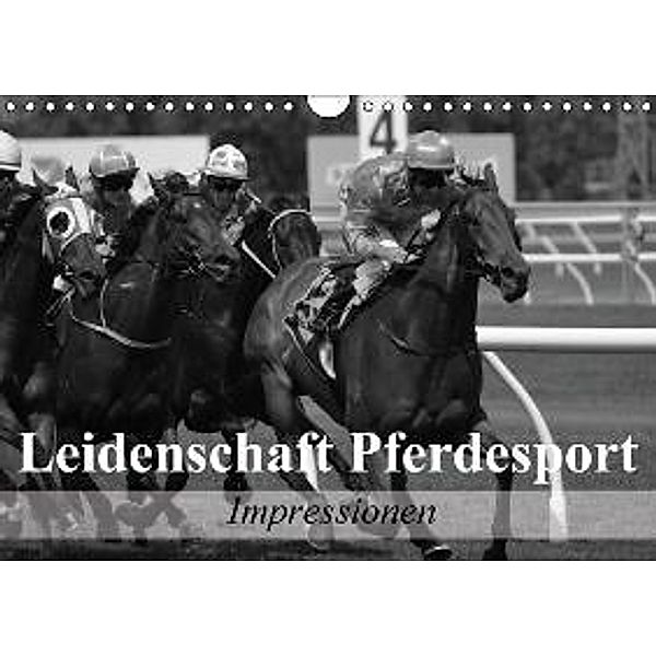 Leidenschaft Pferdesport - Impressionen (Wandkalender 2015 DIN A4 quer), Elisabeth Stanzer