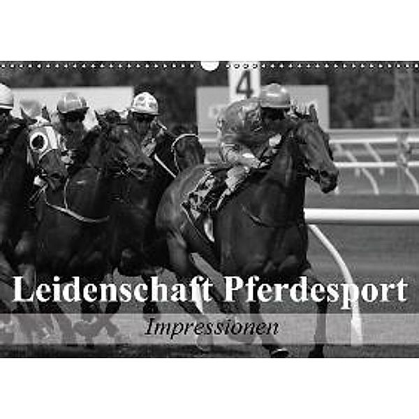 Leidenschaft Pferdesport - Impressionen (Wandkalender 2015 DIN A3 quer), Elisabeth Stanzer
