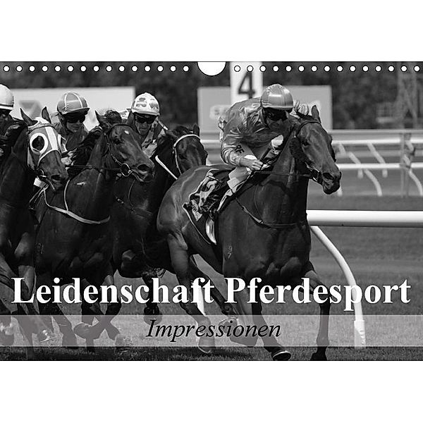 Leidenschaft Pferdesport - Impressionen (Wandkalender 2017 DIN A4 quer), Elisabeth Stanzer