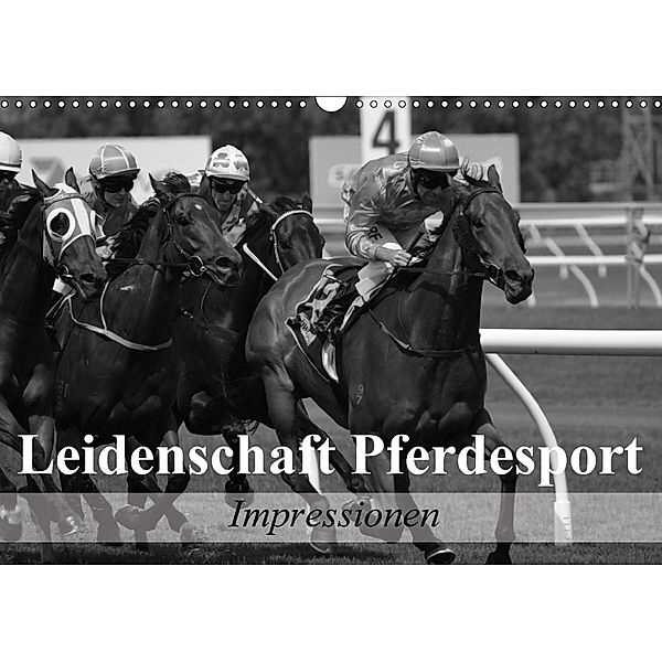 Leidenschaft Pferdesport - Impressionen (Wandkalender 2018 DIN A3 quer), Elisabeth Stanzer