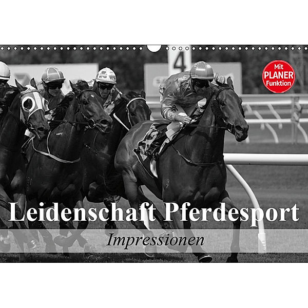 Leidenschaft Pferdesport - Impressionen (Wandkalender 2019 DIN A3 quer), Elisabeth Stanzer