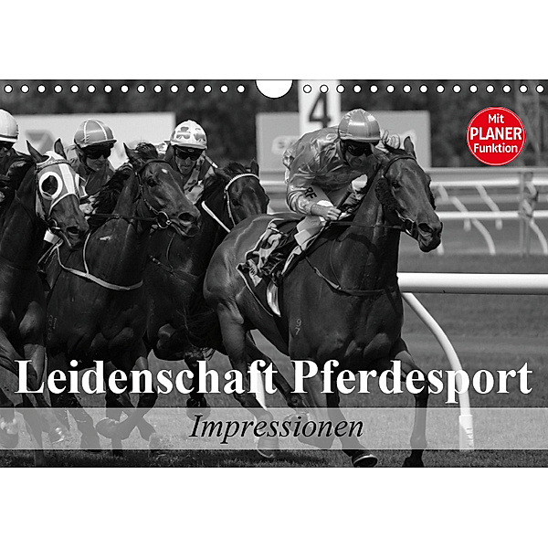 Leidenschaft Pferdesport - Impressionen (Wandkalender 2019 DIN A4 quer), Elisabeth Stanzer