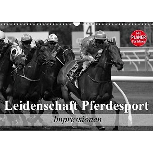 Leidenschaft Pferdesport - Impressionen (Wandkalender 2020 DIN A3 quer), Elisabeth Stanzer