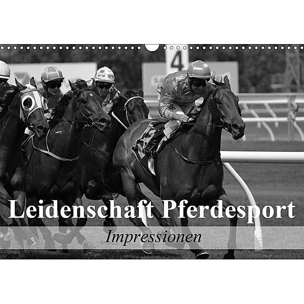 Leidenschaft Pferdesport - Impressionen (Wandkalender 2020 DIN A3 quer), Elisabeth Stanzer