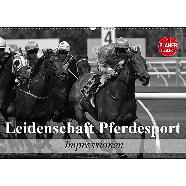 Leidenschaft Pferdesport - Impressionen (Wandkalender 2020 DIN A2 quer), Elisabeth Stanzer