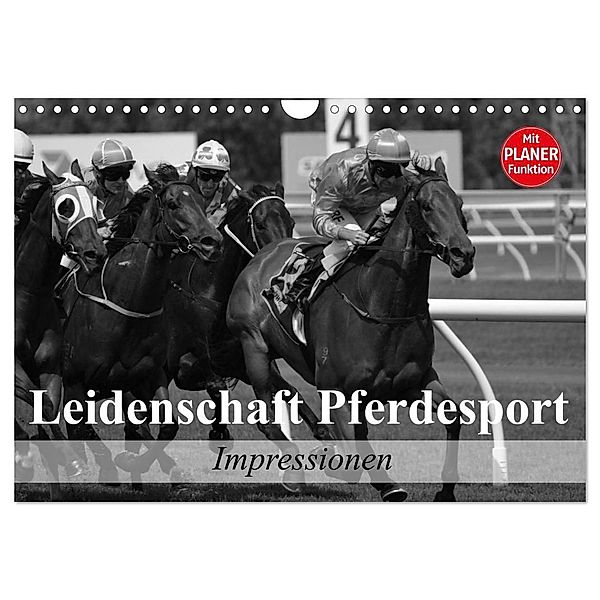 Leidenschaft Pferdesport - Impressionen (Wandkalender 2024 DIN A4 quer), CALVENDO Monatskalender, Elisabeth Stanzer