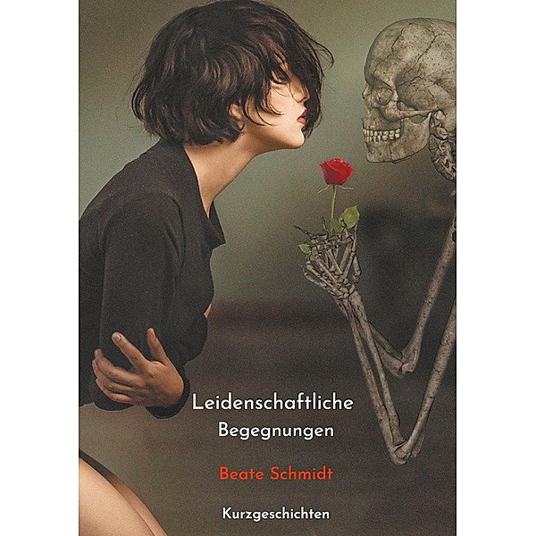 Leidenschaftliche Begegnungen / Leidenschaftliche Begegnungen Bd.1, Beate Schmidt