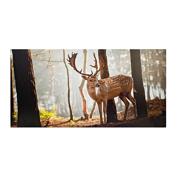 Leinwandbild Hirsch im Wald, 120 x 60 cm