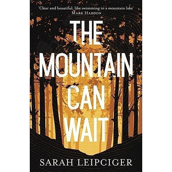 Leipciger, S: Mountain Can Wait, Sarah Leipciger