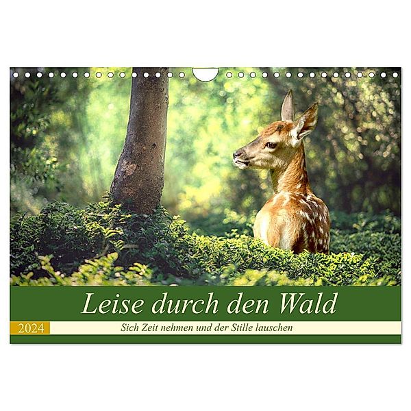 Leise durch den Wald. Sich Zeit nehmen und der Stille lauschen (Wandkalender 2024 DIN A4 quer), CALVENDO Monatskalender, Rose Hurley