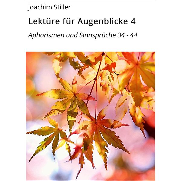 Lektüre für Augenblicke 4, Joachim Stiller