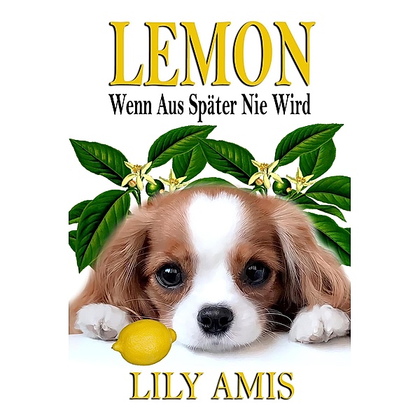 Lemon, Wenn aus später nie wird, Lily Amis