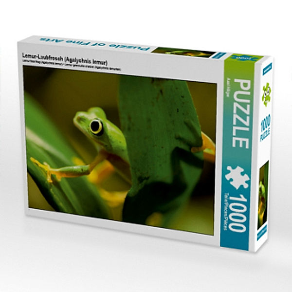 Lemur-Laubfrosch (Agalychnis lemur) (Puzzle), Axel Hilger