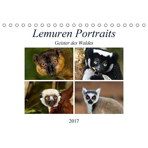 Lemuren Portraits (Tischkalender 2017 DIN A5 quer), Matthias Markolf