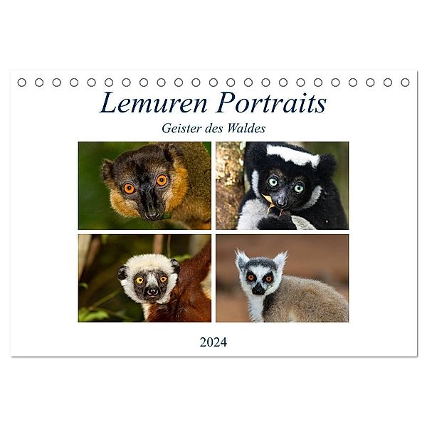 Lemuren Portraits (Tischkalender 2024 DIN A5 quer), CALVENDO Monatskalender, Matthias Markolf