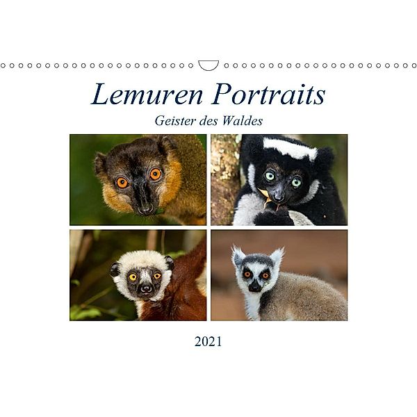 Lemuren Portraits (Wandkalender 2021 DIN A3 quer), Matthias Markolf